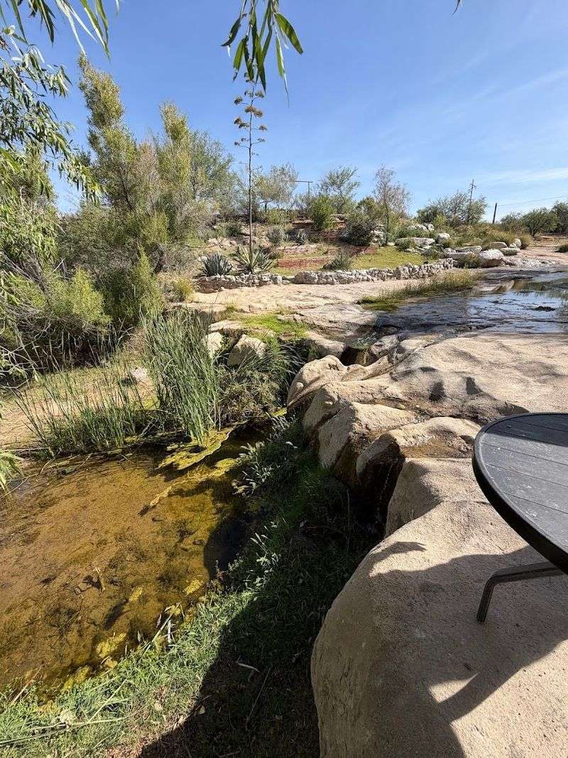 The Charming Outdoor Area and Man-Made Stream