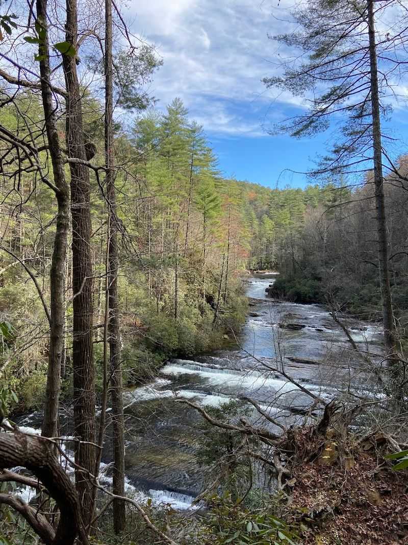 The Chattooga River Adds a Wild, Untamed Element