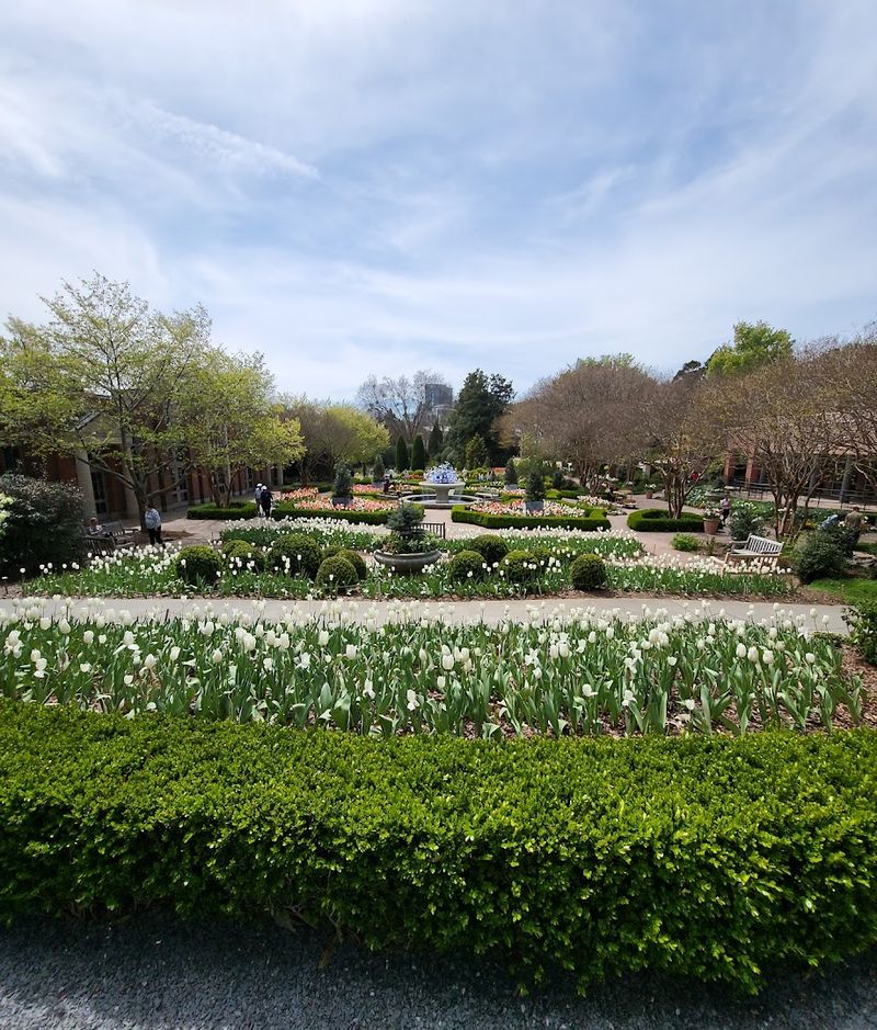 The Children's Garden: Where Kids Run the Show