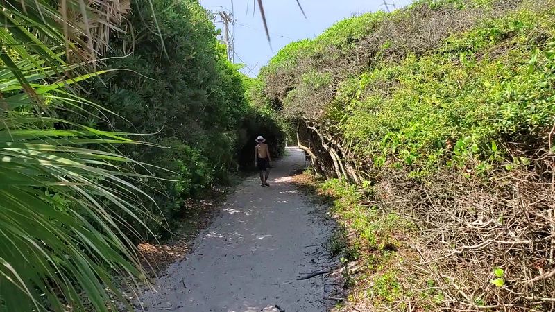 The Coastal Dune Trail That Feels Like Walking Through Another World