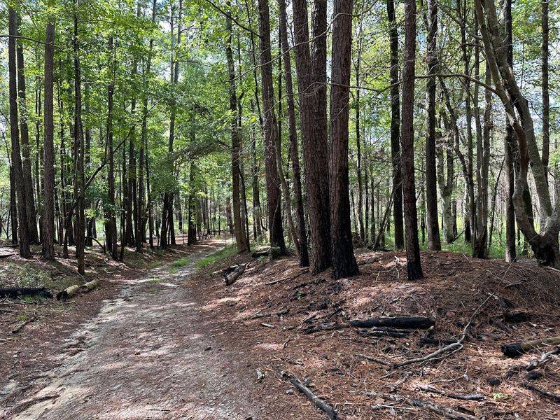 The Coleman and Bennetts Creek Trails
