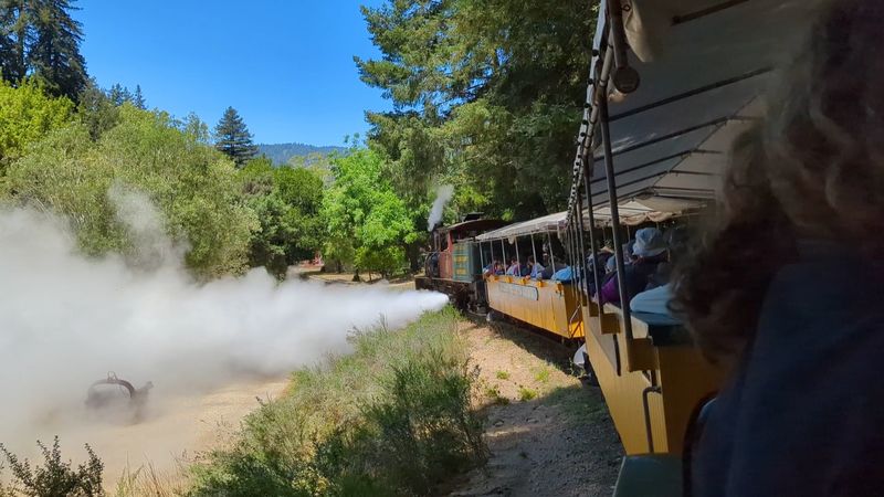The Conductor Doubles as Your Personal Storyteller