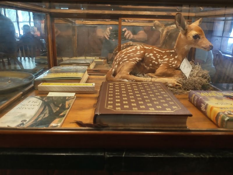 The Connection to Marjorie Kinnan Rawlings and Florida Literary History