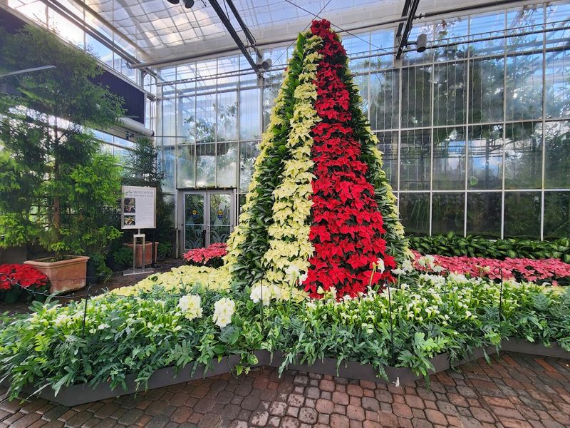 The Conservatory: A Tropical World Under One Roof