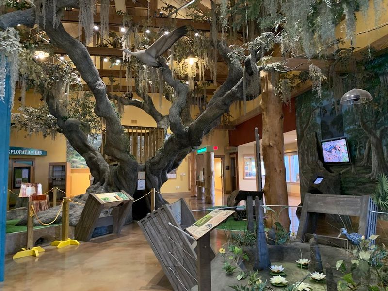 The Discovery Center: Your Pre-Hike Secret Weapon The Discovery Center: Your Pre-Hike Secret Weapon