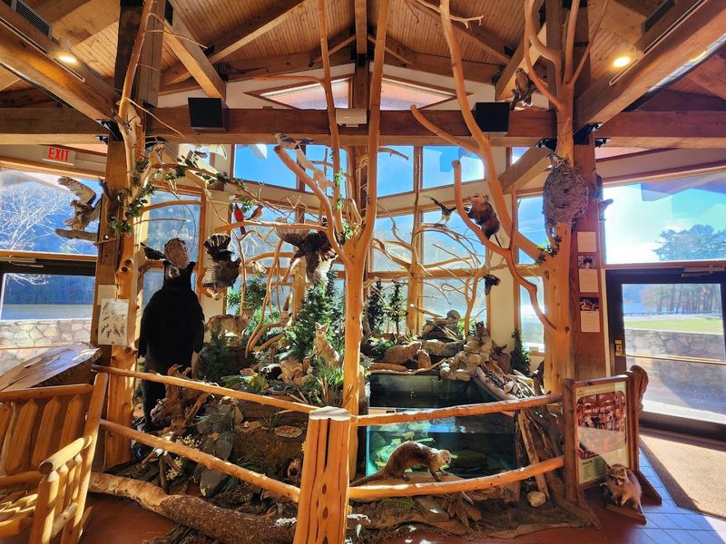 The Discovery Center and CCC Exhibit