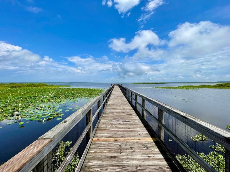 The Ecopassage Boardwalk Off Highway 441