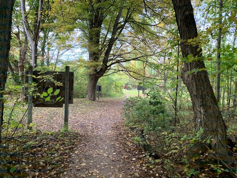 The Eerie Silence That Hits You at the Trailhead