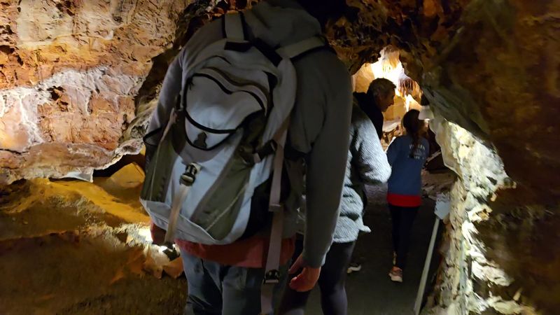 The Expert and Friendly Tour Guides Who Bring It All to Life