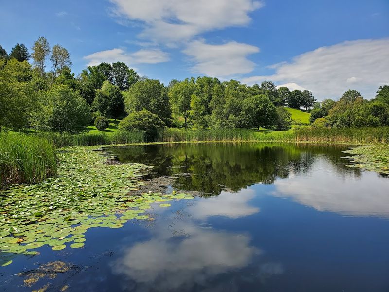 The F.R. Newman Arboretum Is a Hidden Wonder