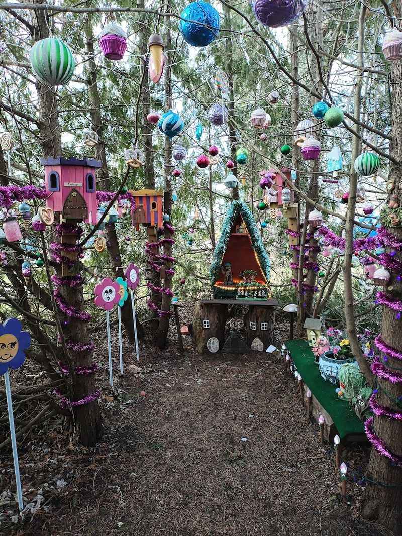 The Fairy Forest - Grass Lake, Michigan The Fairy Forest - Grass Lake, Michigan