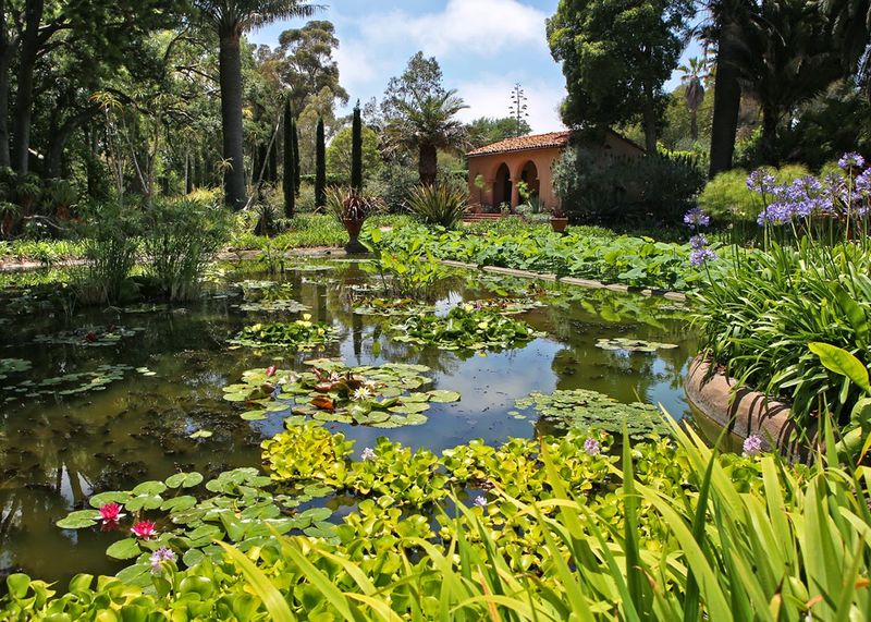 The Fascinating History Behind Lotusland