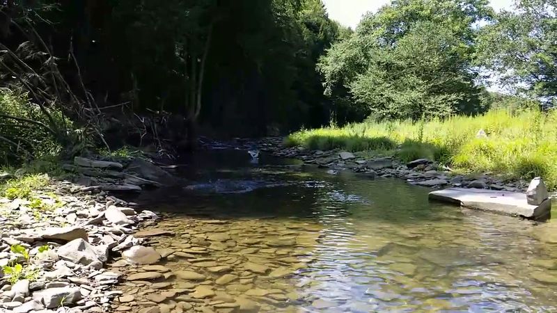 The Fascinating History Behind the Salt Springs Themselves