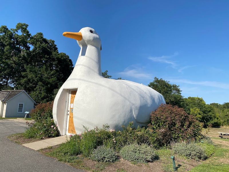 The Fascinating Origin Story of the Big Duck