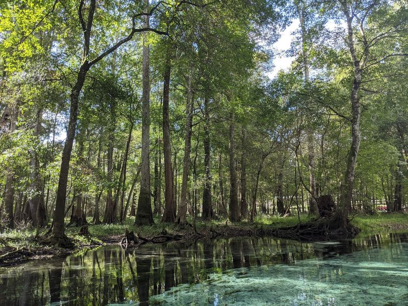 The Float Trip From Gilchrist to Jennings Spring