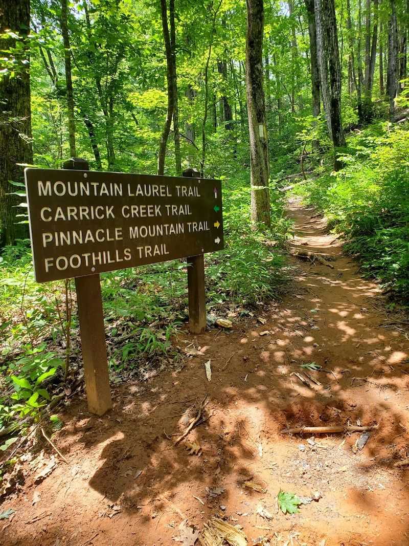 The Foothills Trail Gateway: A Hiker's Dream Connection