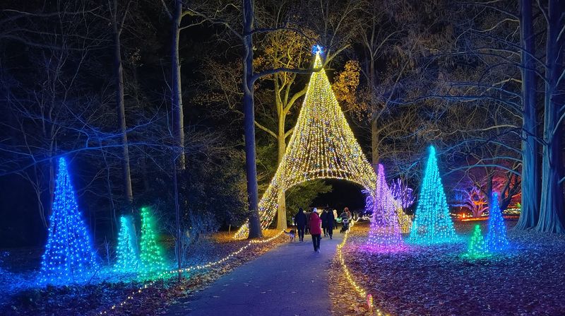 The Garden of Lights Holiday Experience
