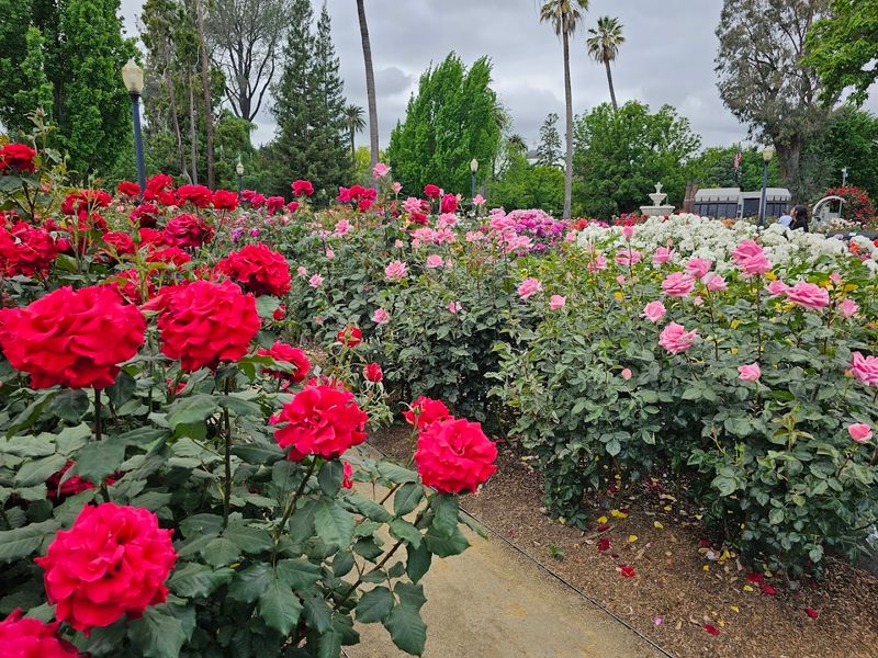 The Garden's Fragrance Is Something You Have to Smell Yourself