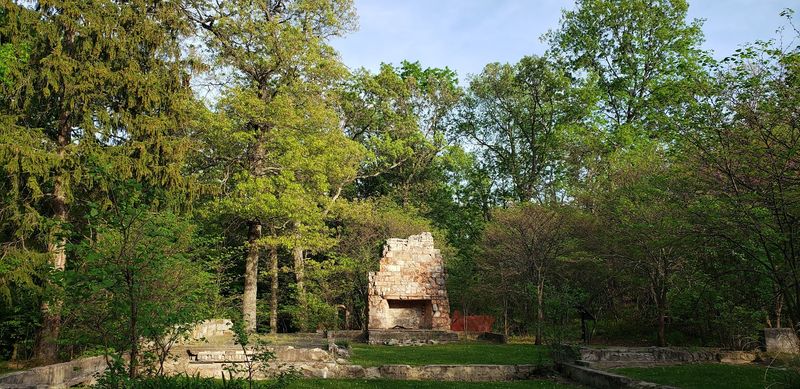 The Ghost of Edsel Ford's Estate Lurking in the Trees