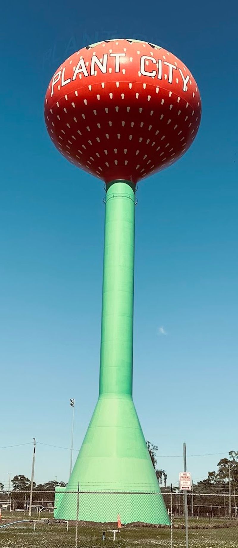 The Giant Strawberry Water Tower Itself