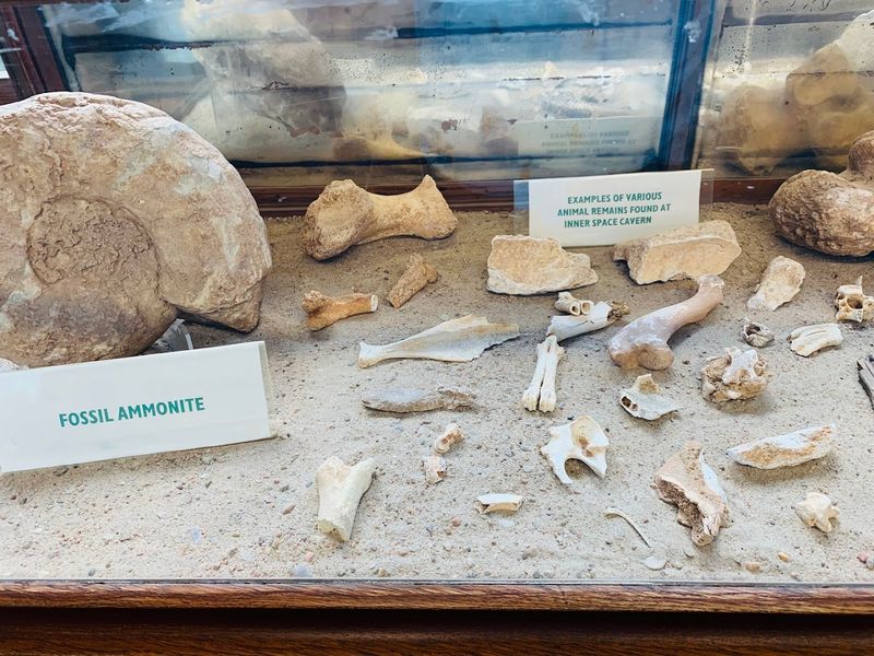 The Gift Shop and Gem Mining Activity