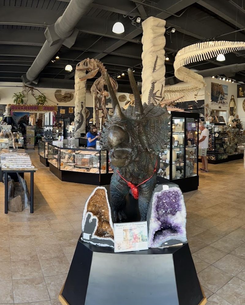 The Gift Shop — A Fossil and Gem Lover's Dream