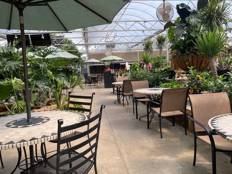 The Greenhouse Cafe That Feels Like Eating Inside a Fairytale The Greenhouse Cafe That Feels Like Eating Inside a Fairytale