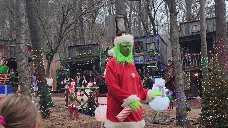 The Grinch Show: A Fan Favorite for Every Generation