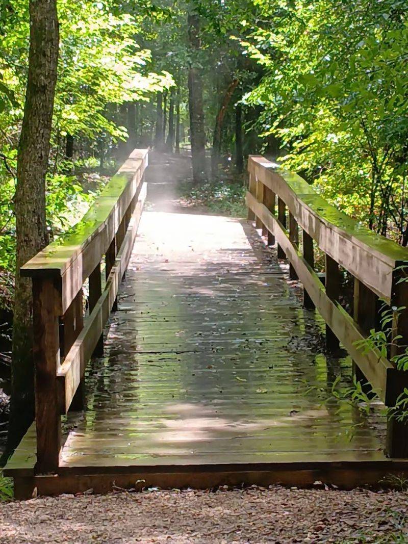 The Half-Mile Hike to the Bridge