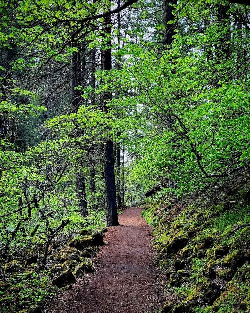 The Headwaters Trail: A Hidden Gem Worth Exploring The Headwaters Trail: A Hidden Gem Worth Exploring