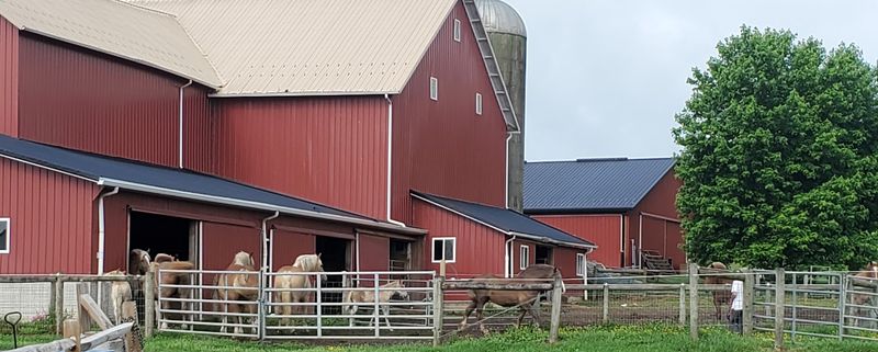 The Heart of Ohio's Amish Country