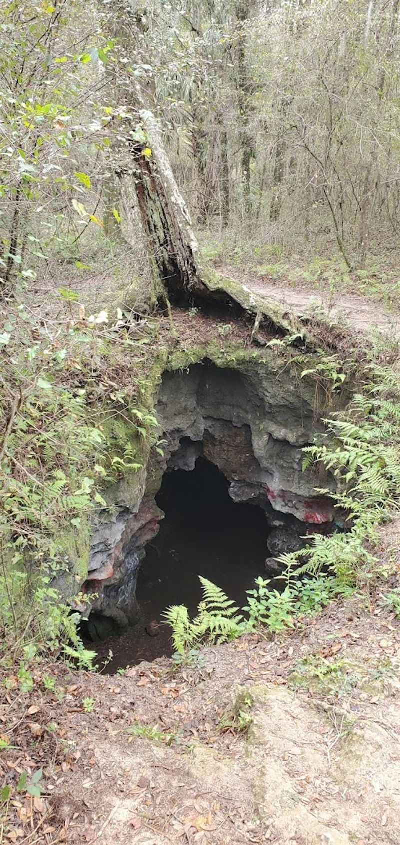 The Hidden Cave Most Visitors Walk Right Past