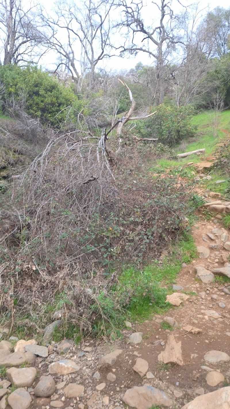The Hike Down: What to Expect on the Trail The Hike Down: What to Expect on the Trail