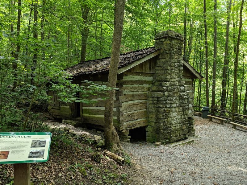 The Historic Carter Cabin and Blockhouse