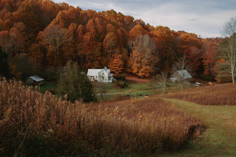 The Historic Tipton Place Farm