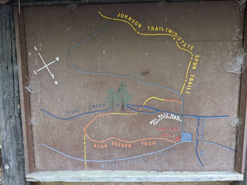 The History Behind the Name
