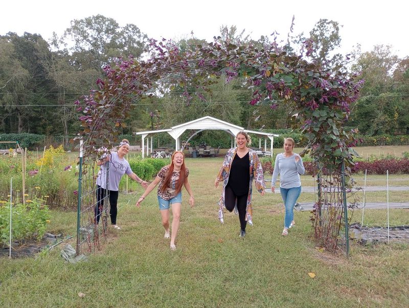 The Hyacinth Bean Arbor: A Photo Moment Like No Other The Hyacinth Bean Arbor: A Photo Moment Like No Other