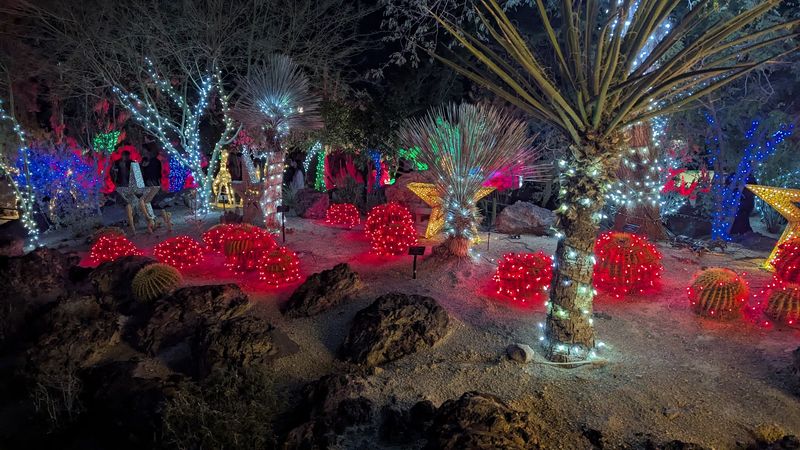 The Iconic Christmas Light Display