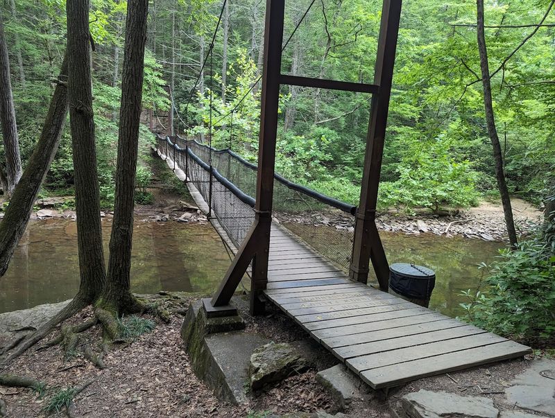 The Iconic Suspension Bridge