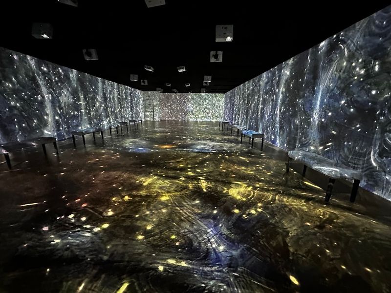 The Immersive Van Gogh Experience