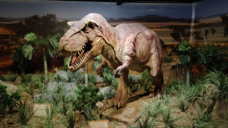 The Indoor Museum with Fossils and Artifacts