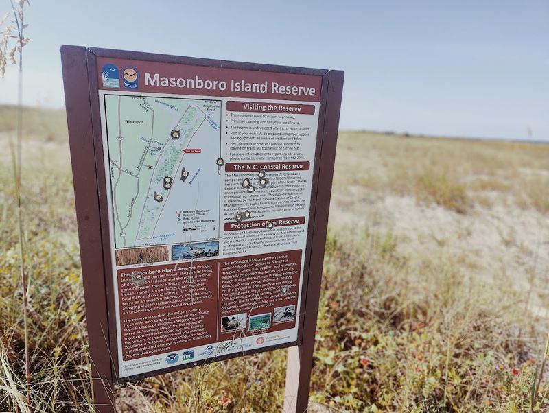 The Island's Role as a Protected Nature Reserve