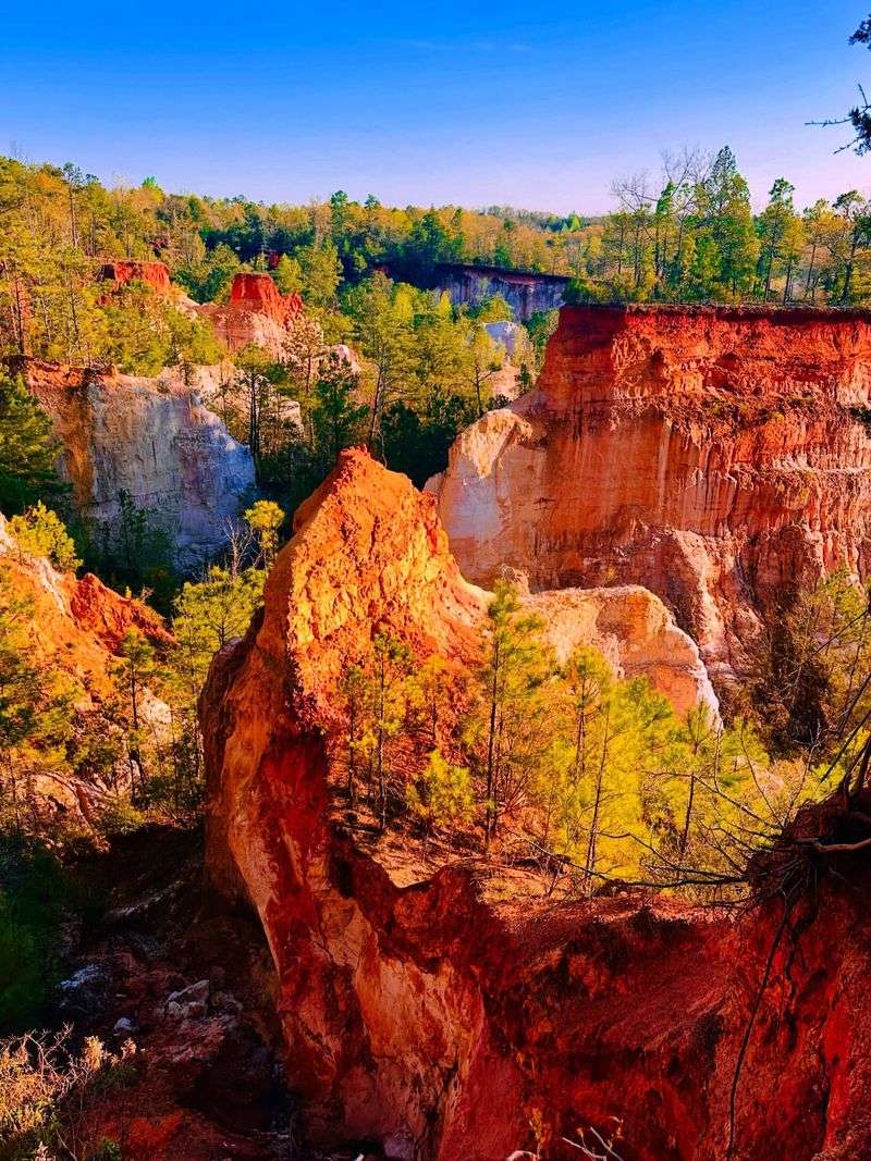 The Jaw-Dropping Canyon Colors That Look Painted On