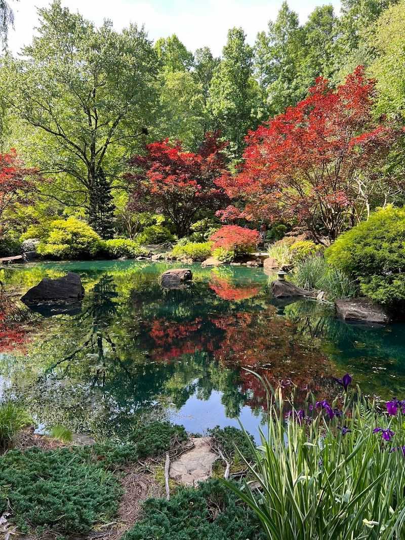 The Jaw-Dropping Japanese Garden