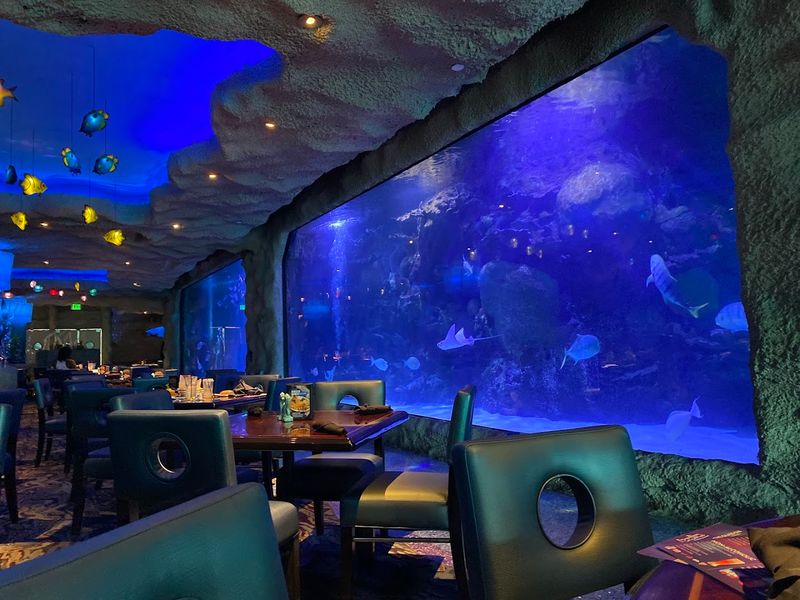 The Jaw-Dropping Main Dining Room Tank
