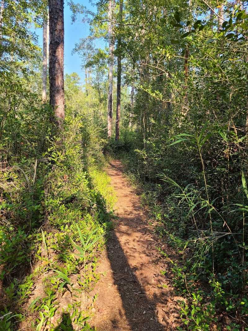 The Jungle Nature Trail Hike