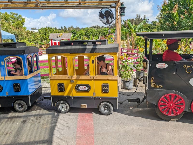 The Kids' Train Ride Through the Zoo