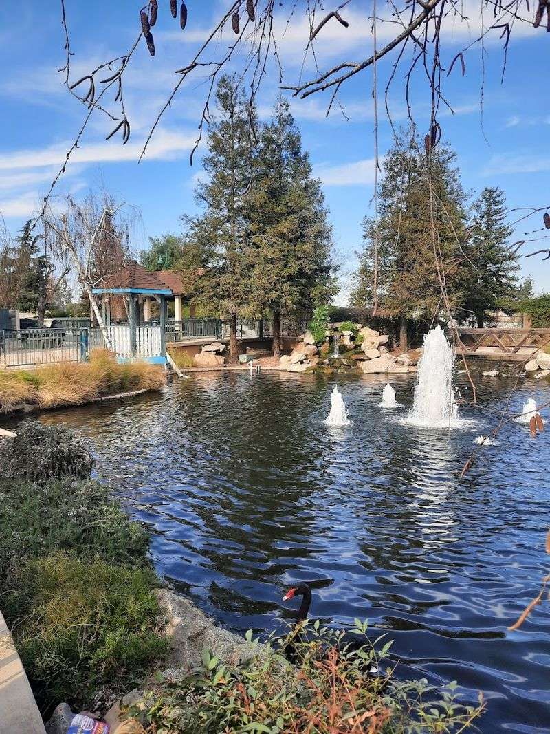 The Koi Pond and Outdoor Patio