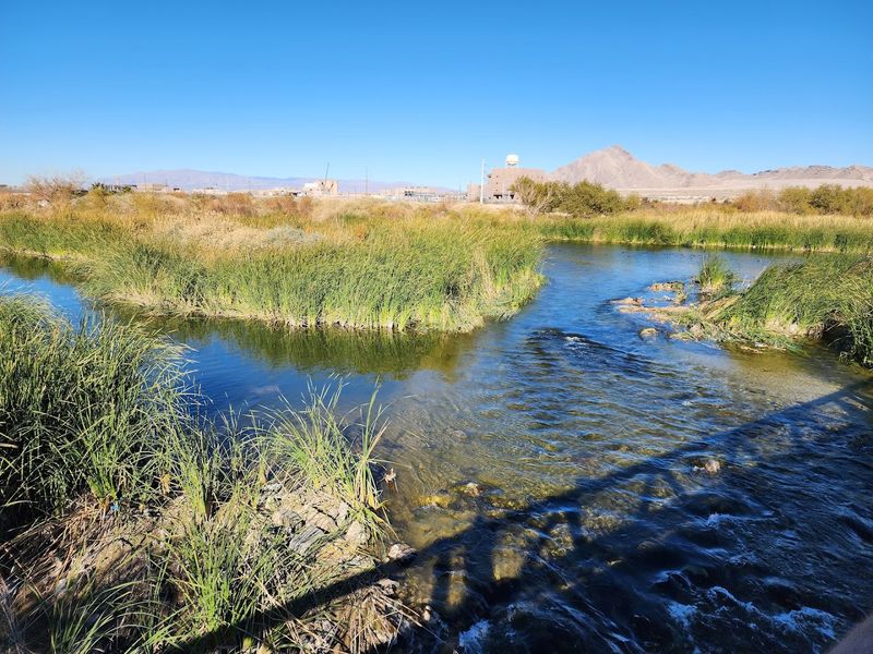 The Las Vegas Wash Restoration Story