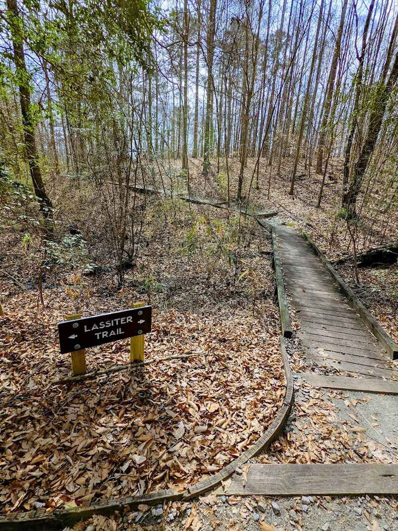 The Lassiter Trail: A Hiker's Favorite